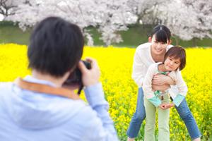 会員数が多い結婚相談所で相手を探す